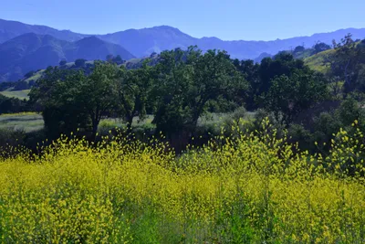 DSC_6137 (Large).JPG